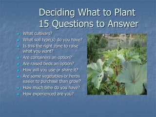 Intro To Urban Vegetables V.2