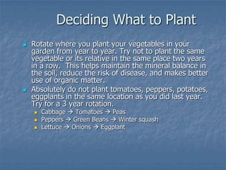 Intro To Urban Vegetables V.2