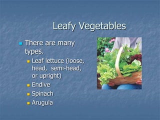 Intro To Urban Vegetables V.2