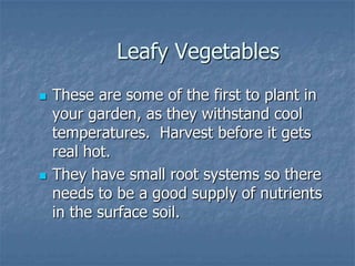 Intro To Urban Vegetables V.2