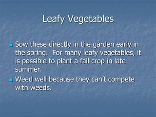 Intro To Urban Vegetables V.2