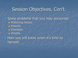 Intro To Urban Vegetables V.2