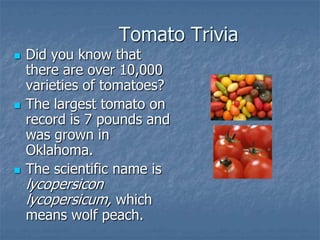 Intro To Urban Vegetables V.2