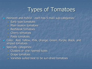 Intro To Urban Vegetables V.2