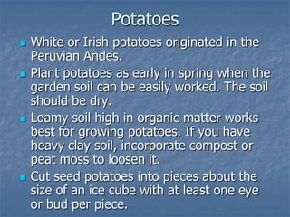 Intro To Urban Vegetables V.2