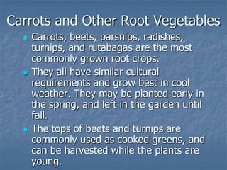 Intro To Urban Vegetables V.2