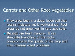 Intro To Urban Vegetables V.2