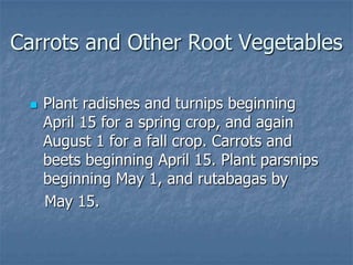 Intro To Urban Vegetables V.2
