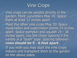 Intro To Urban Vegetables V.2