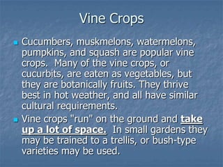 Intro To Urban Vegetables V.2