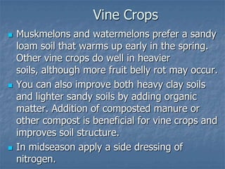 Intro To Urban Vegetables V.2