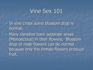 Intro To Urban Vegetables V.2