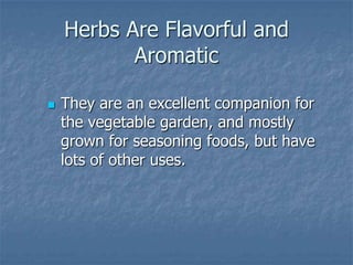 Intro To Urban Vegetables V.2