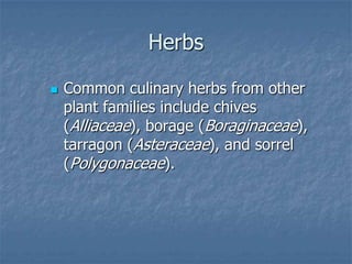 Intro To Urban Vegetables V.2