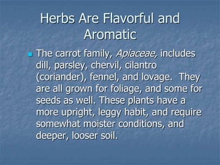 Intro To Urban Vegetables V.2