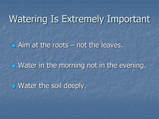 Intro To Urban Vegetables V.2