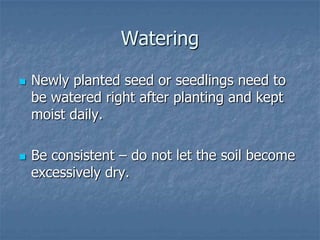 Intro To Urban Vegetables V.2