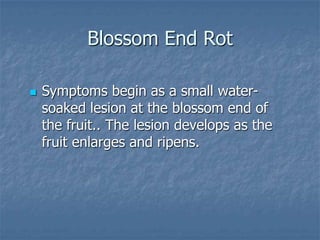 Intro To Urban Vegetables V.2