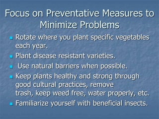 Intro To Urban Vegetables V.2