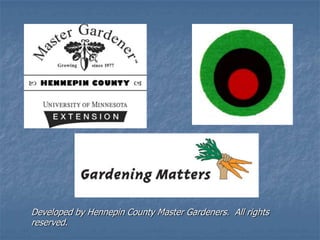 Intro To Urban Vegetables V.2