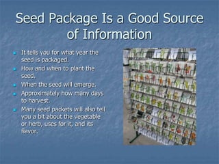 Intro To Urban Vegetables V.2