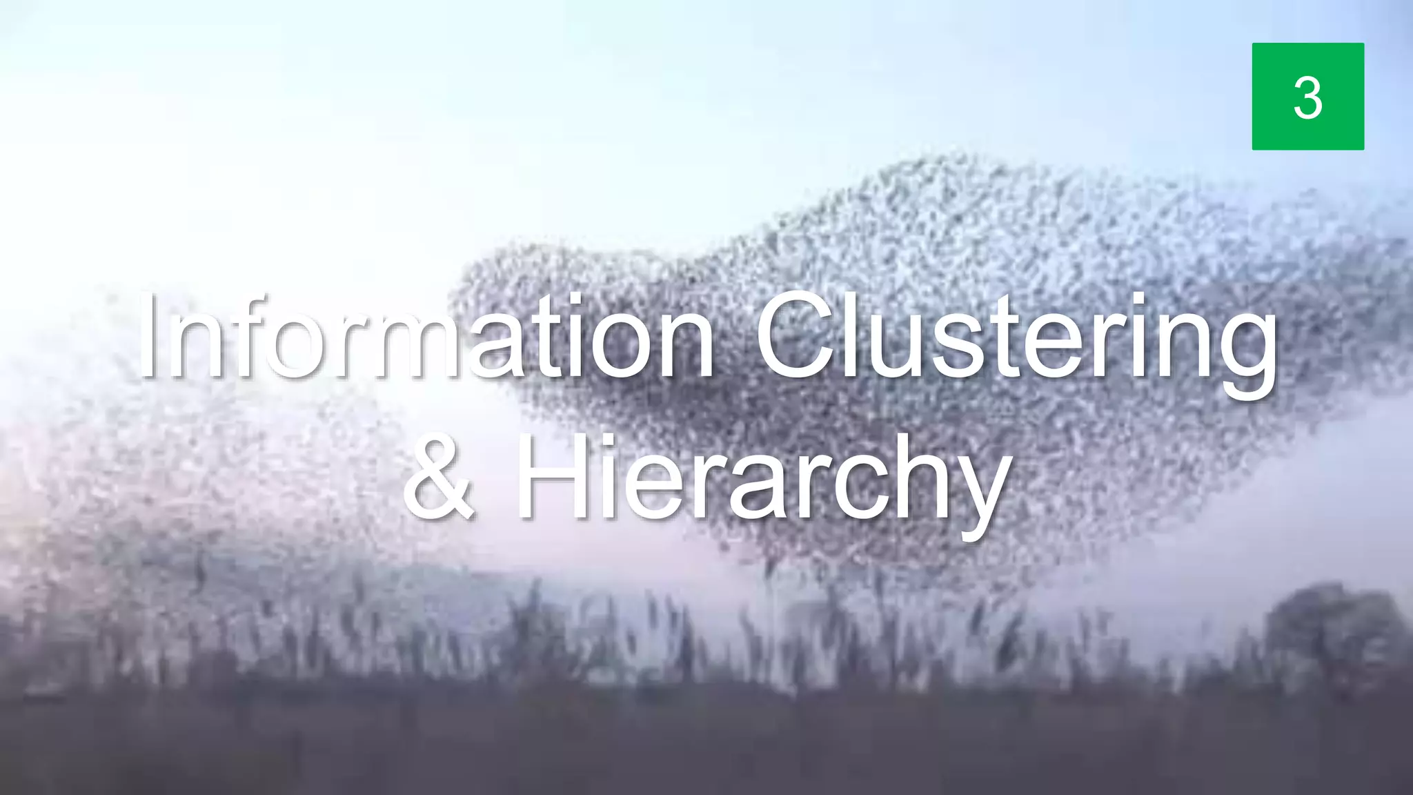 Information Clustering
& Hierarchy
3
 