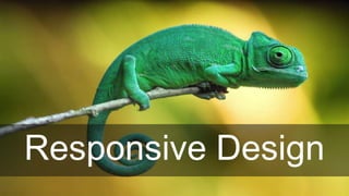 Responsive Design
 