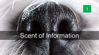 Scent of Information
1
 