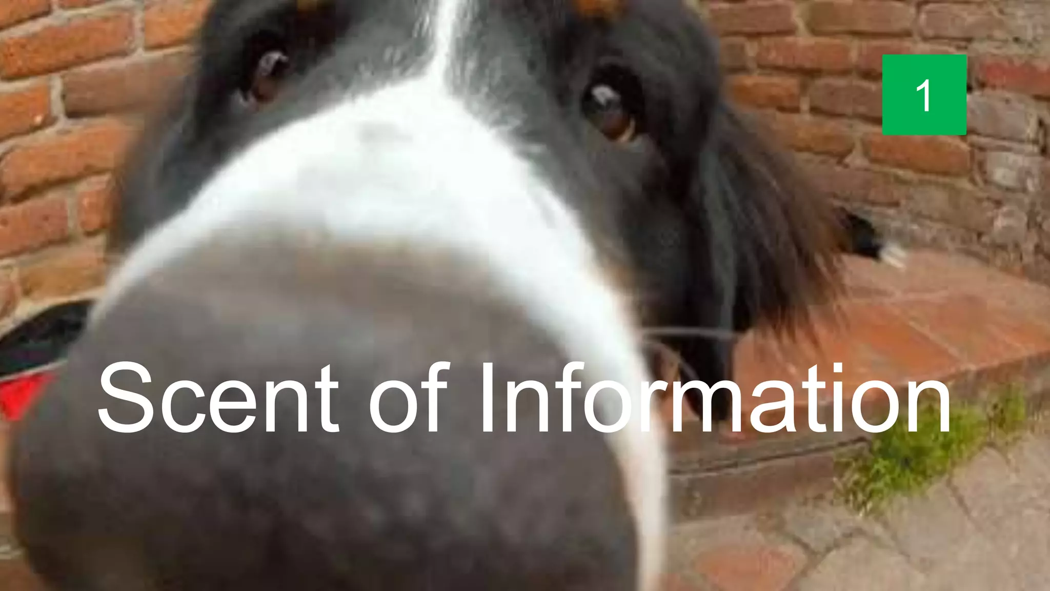 Scent of Information
1
 