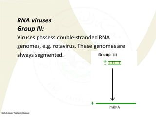 Sahibzada Tasleem Rasool
RNA viruses
Group III:
Viruses possess double-stranded RNA
genomes, e.g. rotavirus. These genomes...