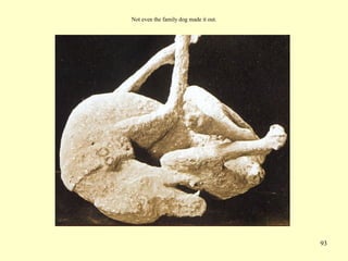 93
Not even the family dog made it out.
 