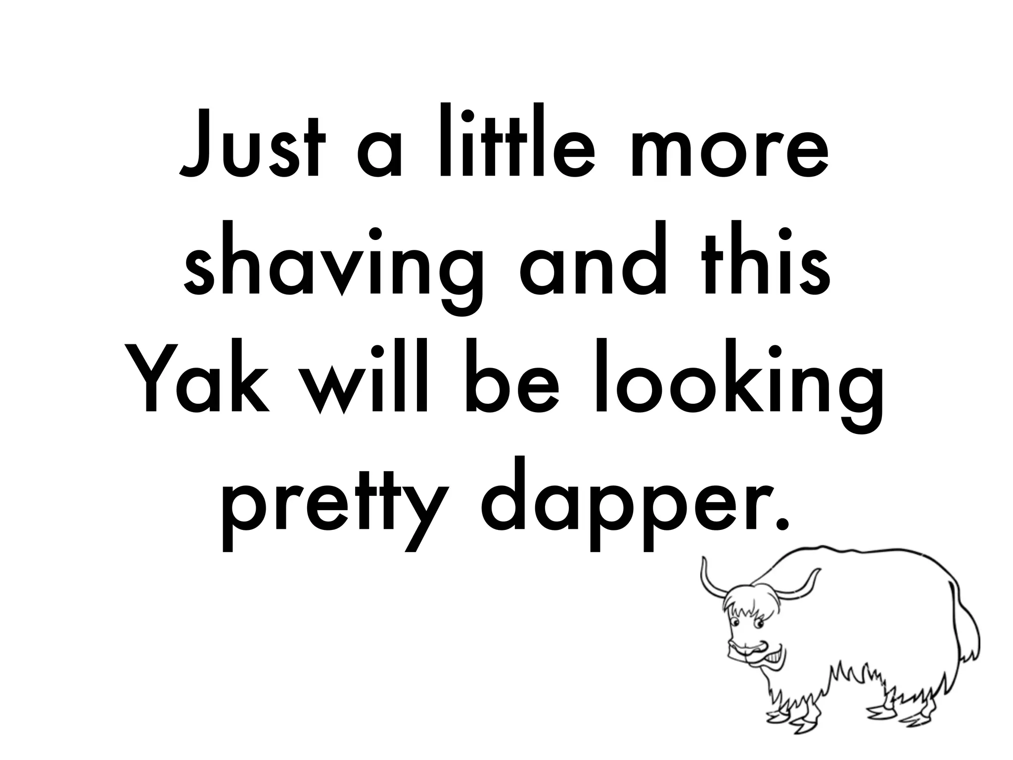 Just a little more
shaving and this
Yak will be looking
pretty dapper.
 