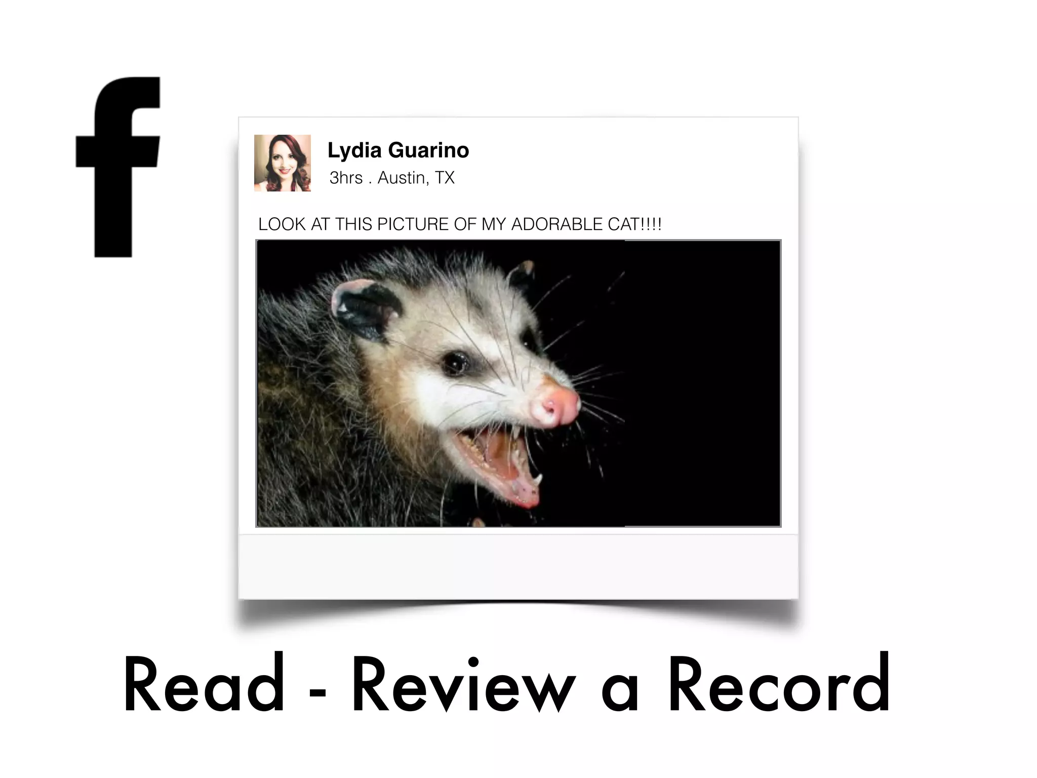 Lydia Guarino
Read - Review a Record
3hrs . Austin, TX
LOOK AT THIS PICTURE OF MY ADORABLE CAT!!!!
 