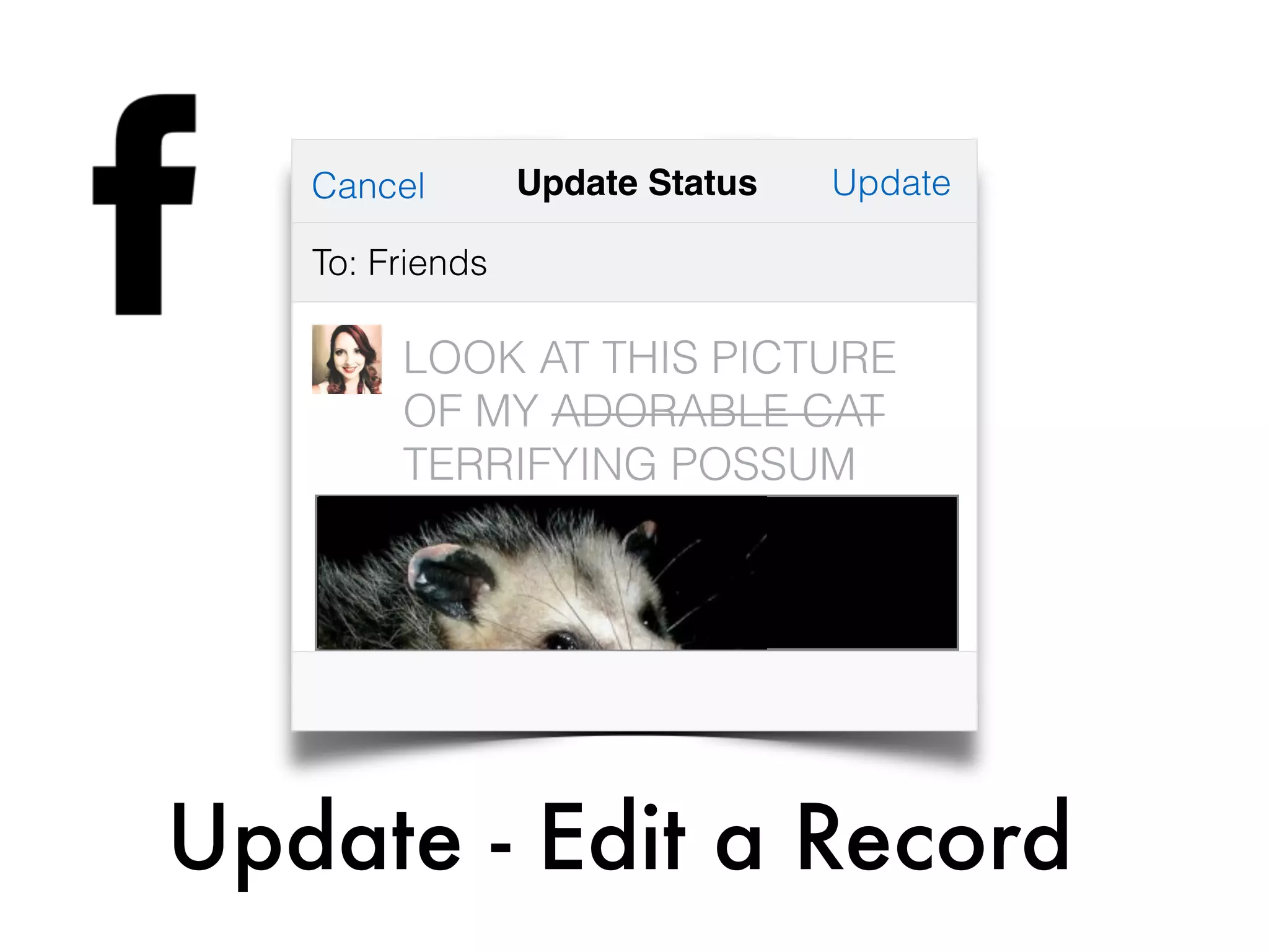 Update - Edit a Record
LOOK AT THIS PICTURE
OF MY ADORABLE CAT
TERRIFYING POSSUM
UpdateCancel
To: Friends
Update Status
 