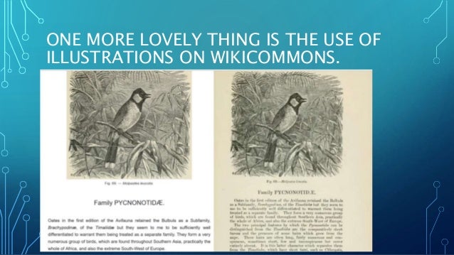 Intro To Wikisource