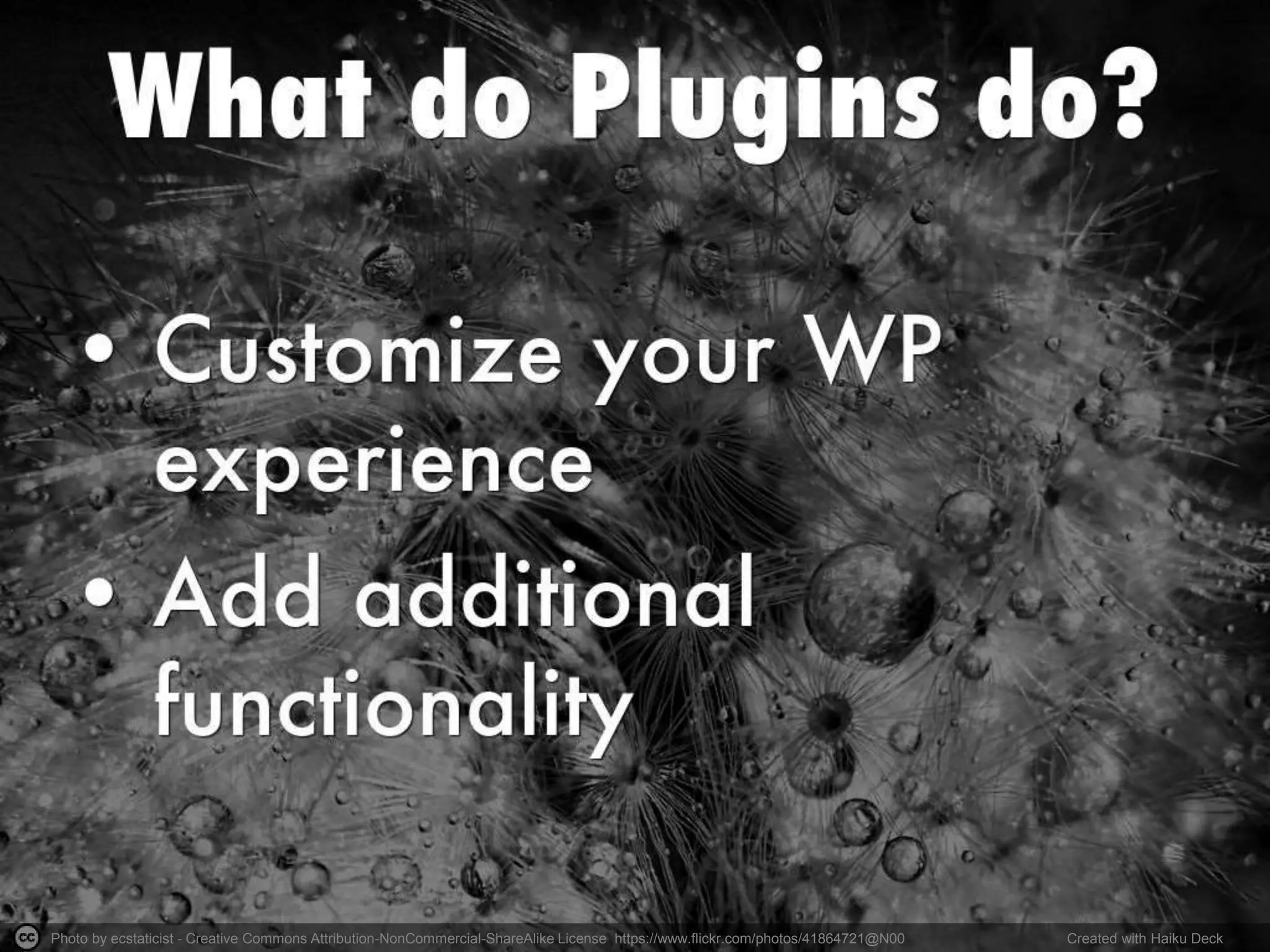 Photo by ecstaticist - Creative Commons Attribution-NonCommercial-ShareAlike License https://www.flickr.com/photos/41864721@N00 Created with Haiku Deck
 