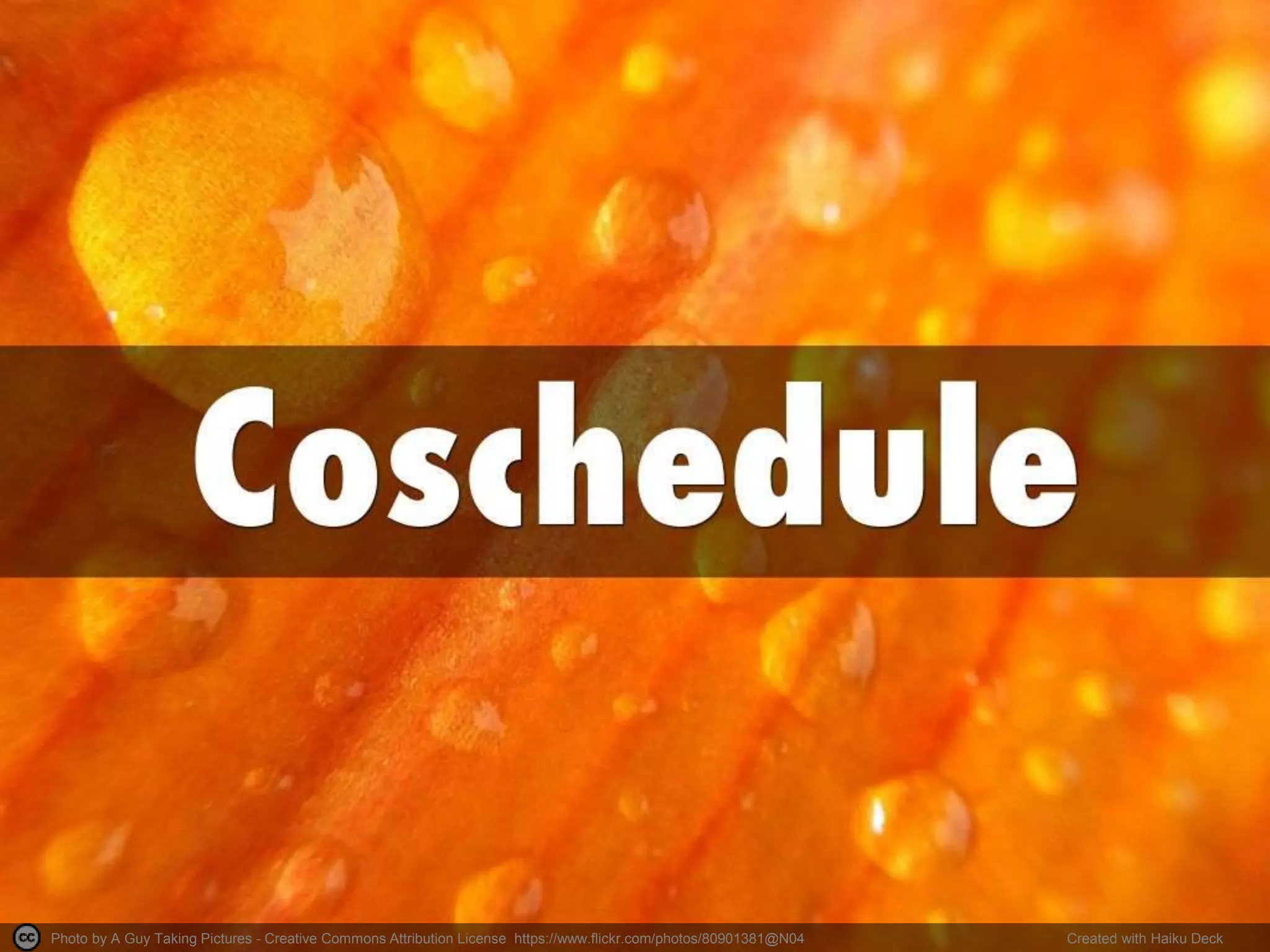 Photo by A Guy Taking Pictures - Creative Commons Attribution License https://www.flickr.com/photos/80901381@N04 Created with Haiku Deck
 