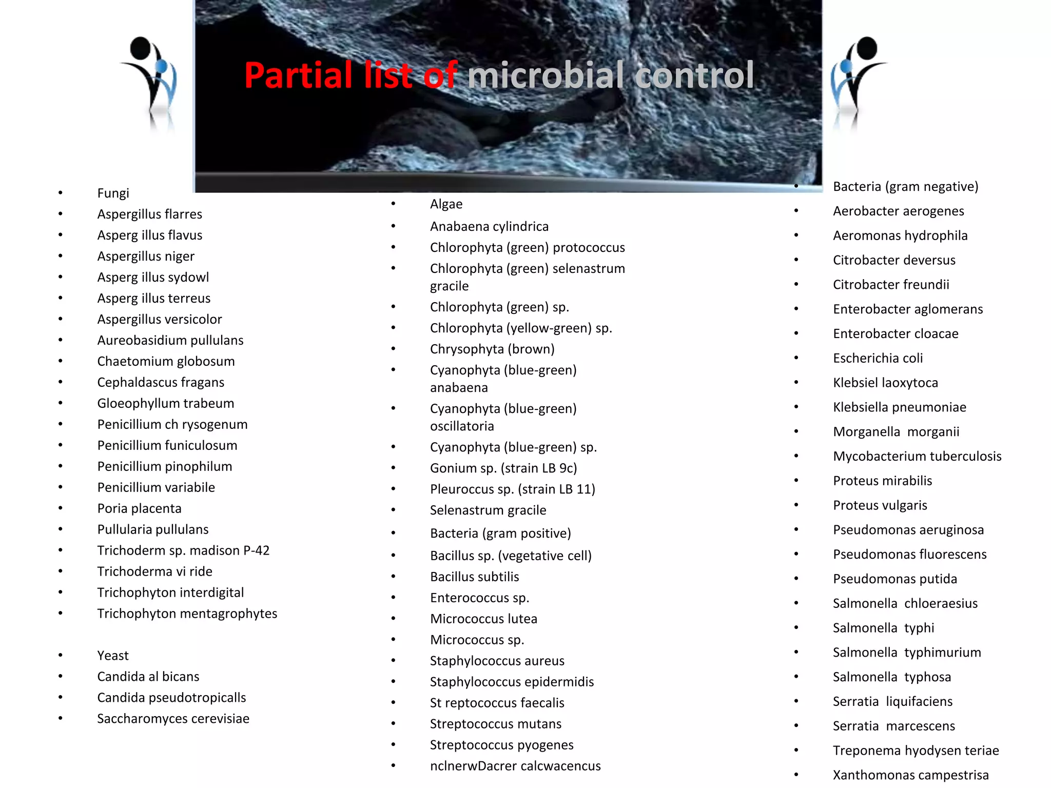 • Fungi 
• Aspergillus flarres 
• Asperg illus flavus 
• Aspergillus niger 
• Asperg illus sydowl 
• Asperg illus terreus 
• Aspergillus versicolor 
• Aureobasidium pullulans 
• Chaetomium globosum 
• Cephaldascus fragans 
• Gloeophyllum trabeum 
• Penicillium ch rysogenum 
• Penicillium funiculosum 
• Penicillium pinophilum 
• Penicillium variabile 
• Poria placenta 
• Pullularia pullulans 
• Trichoderm sp. madison P-42 
• Trichoderma vi ride 
• Trichophyton interdigital 
• Trichophyton mentagrophytes 
• Yeast 
• Candida al bicans 
• Candida pseudotropicalls 
• Saccharomyces cerevisiae 
• Algae 
• Anabaena cylindrica 
• Chlorophyta (green) protococcus 
• Chlorophyta (green) selenastrum 
gracile 
• Chlorophyta (green) sp. 
• Chlorophyta (yellow-green) sp. 
• Chrysophyta (brown) 
• Cyanophyta (blue-green) 
anabaena 
• Cyanophyta (blue-green) 
oscillatoria 
• Cyanophyta (blue-green) sp. 
• Gonium sp. (strain LB 9c) 
• Pleuroccus sp. (strain LB 11) 
• Selenastrum gracile 
• Bacteria (gram positive) 
• Bacillus sp. (vegetative cell) 
• Bacillus subtilis 
• Enterococcus sp. 
• Micrococcus lutea 
• Micrococcus sp. 
• Staphylococcus aureus 
• Staphylococcus epidermidis 
• St reptococcus faecalis 
• Streptococcus mutans 
• Streptococcus pyogenes 
• nclnerwDacrer calcwacencus 
• Bacteria (gram negative) 
• Aerobacter aerogenes 
• Aeromonas hydrophila 
• Citrobacter deversus 
• Citrobacter freundii 
• Enterobacter aglomerans 
• Enterobacter cloacae 
• Escherichia coli 
• Klebsiel laoxytoca 
• Klebsiella pneumoniae 
• Morganella morganii 
• Mycobacterium tuberculosis 
• Proteus mirabilis 
• Proteus vulgaris 
• Pseudomonas aeruginosa 
• Pseudomonas fluorescens 
• Pseudomonas putida 
• Salmonella chloeraesius 
• Salmonella typhi 
• Salmonella typhimurium 
• Salmonella typhosa 
• Serratia liquifaciens 
• Serratia marcescens 
• Treponema hyodysen teriae 
• Xanthomonas campestrisa 
Partial list of microbial control 
 