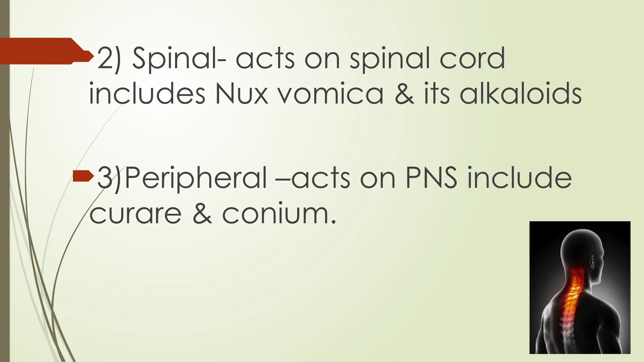 2) Spinal- acts on spinal cord
includes Nux vomica & its alkaloids
3)Peripheral –acts on PNS include
curare & conium.
 