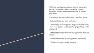 Intro to zoology.pptx