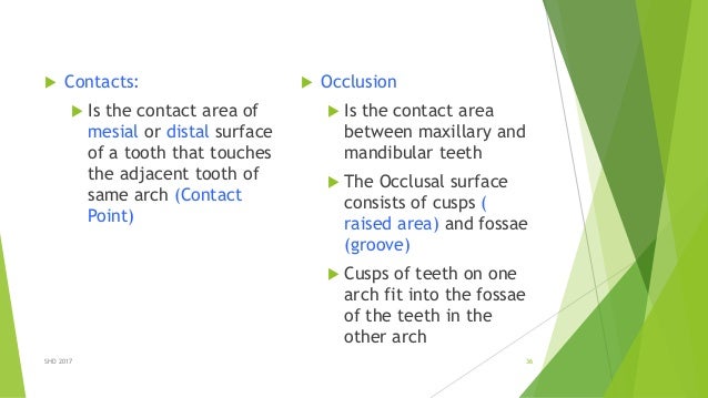 complete anatomy contact complete anatomy contact