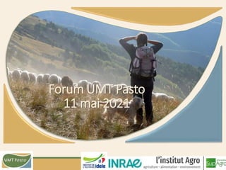 UMT
Ressources et Transformation des élevages
pastoraux
en territoires méditerranéens
Projet de renouvellement de l’UMT Pasto
AG UMT
25 juin 2019
Forum UMT Pasto
11 mai 2021
 