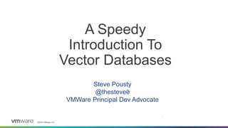 ©2023 VMware, Inc.
A Speedy
Introduction To
Vector Databases
Steve Pousty
@thesteve0
VMWare Principal Dev Advocate
1
 