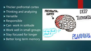  Thicker prefrontal cortex
 Thinking and analyzing
 Versatile
 Responsible
 Can work in solitude
 Work well in small groups
 Stay focused for longer
 Better long term memory
 