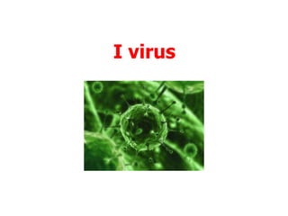 I virus
 