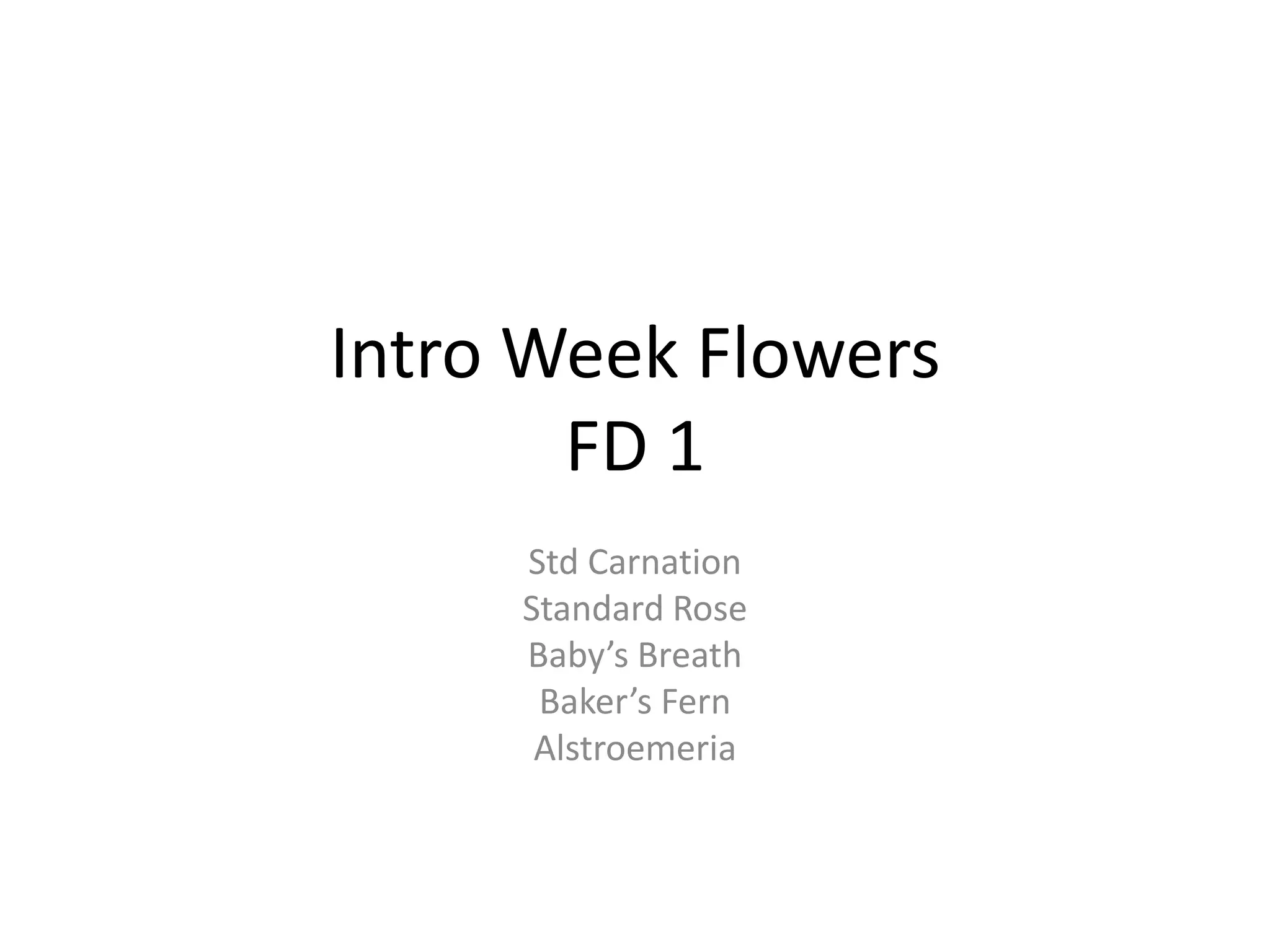 Intro Week Flowers
FD 1
Std Carnation
Standard Rose
Baby’s Breath
Baker’s Fern
Alstroemeria