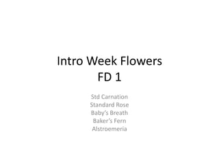 Intro Week Flowers
       FD 1
     Std Carnation
     Standard Rose
     Baby’s Breath
      Baker’s Fern
      Alstroemeria
 