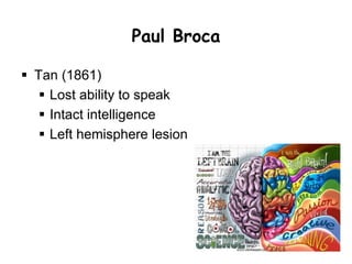 Behaviorism: Redefining
Psychology
 John B. Watson (1878-1958): United
States
 Founder of Behaviorism
 Behavior = overt or observable
responses or activities
 Rejected introspection and mental states
 Emphasis on animal behavior
 Stimulus-Response
 