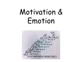 Motivation &
Emotion
 