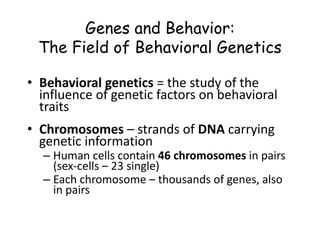 Genes and Behavior:
The Field of Behavioral Genetics
• Behavioral genetics = the study of the
influence of genetic factors on behavioral
traits
• Chromosomes – strands of DNA carrying
genetic information
– Human cells contain 46 chromosomes in pairs
(sex-cells – 23 single)
– Each chromosome – thousands of genes, also
in pairs
 